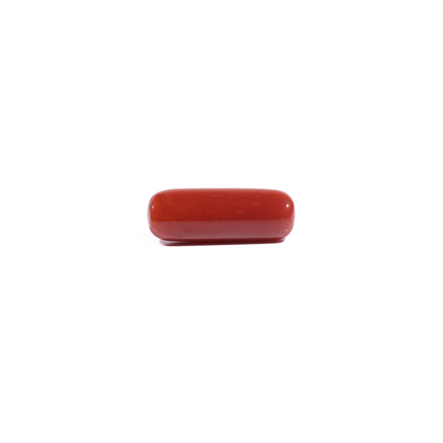 Red Coral - 7.4 Carat