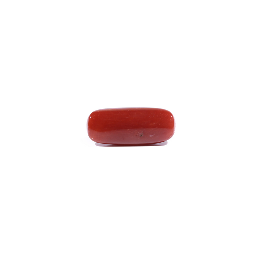 Red Coral - 7.25 Carat
