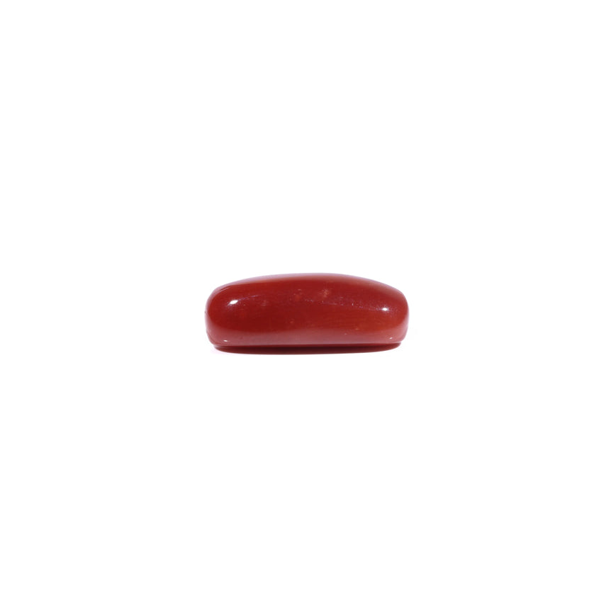 Red Coral - 7.25 Carat