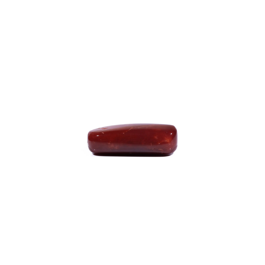Red Coral - 7.9 Carat