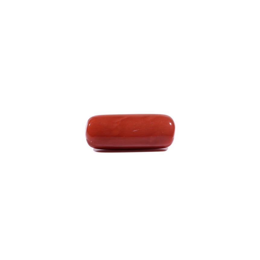 Red Coral - 8.68 Carat