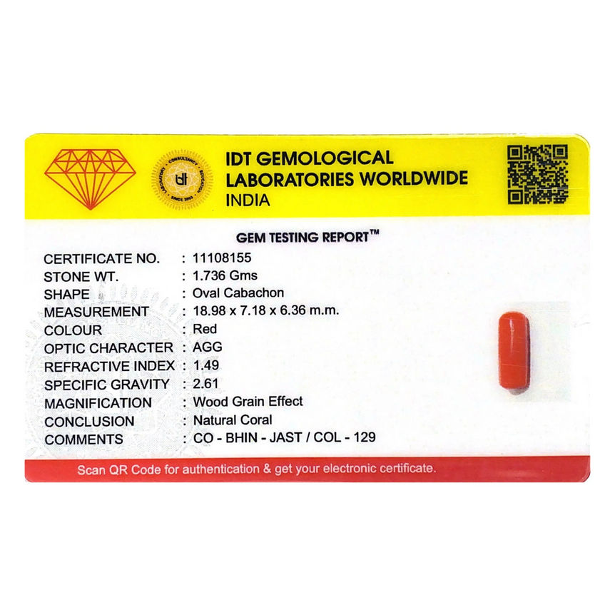 Red Coral - 8.68 Carat