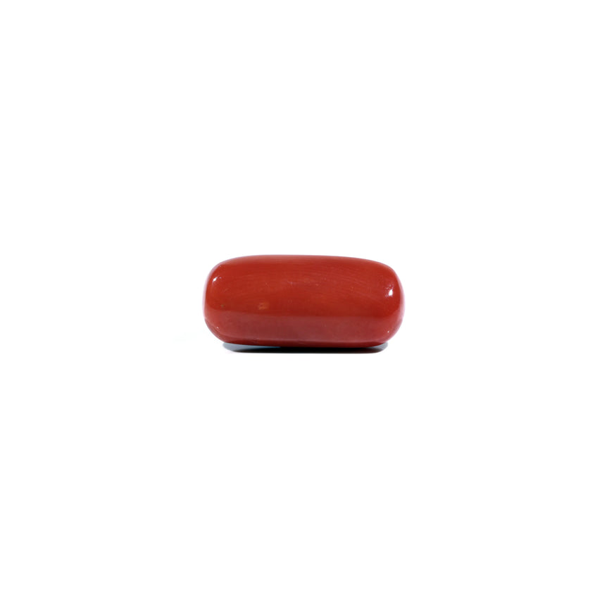 Red Coral - 7.95 Carat