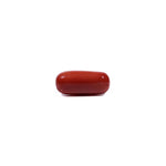 Red Coral - 8.5 Carat - Pramogh