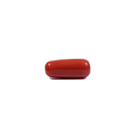 Red Coral - 9 Carat - Pramogh