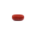 Red Coral - 8.7 Carat - Pramogh