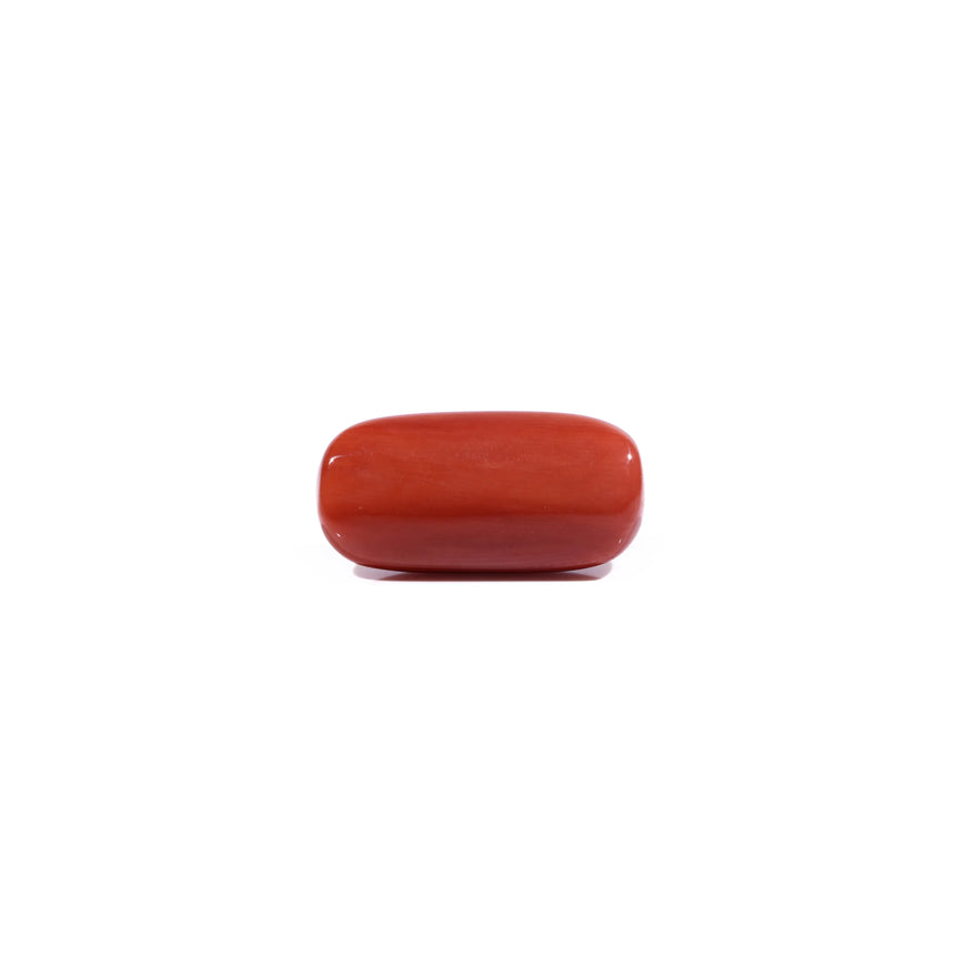 Red Coral - 8.7 Carat
