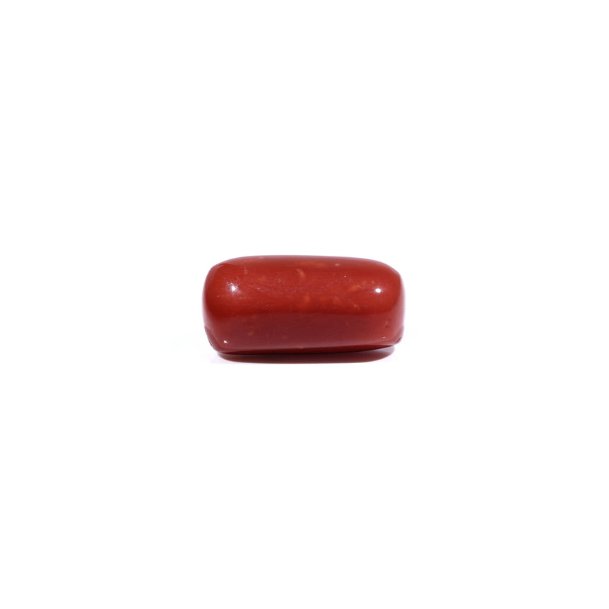Red Coral - 9.7 Carat