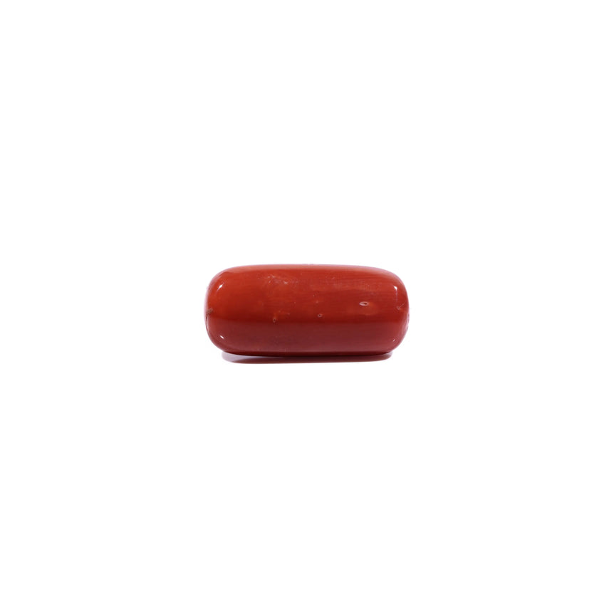 Red Coral - 9.35 Carat