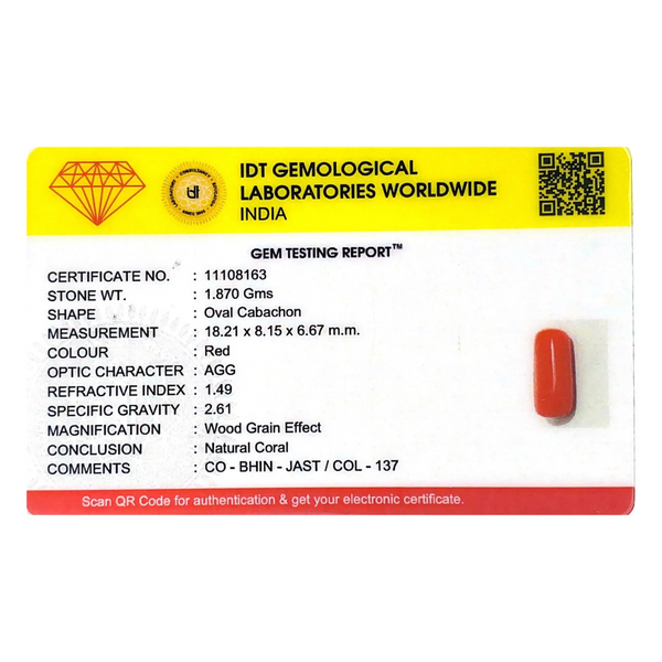 Red Coral - 9.35 Carat