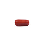 Red Coral - 11.45 Carat - Pramogh