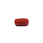 Red Coral - 13.75 Carat - Pramogh
