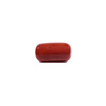 Red Coral - 13.75 Carat