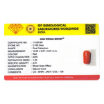 Red Coral - 13.75 Carat