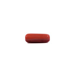 Red Coral - 7.7 Carat - Pramogh