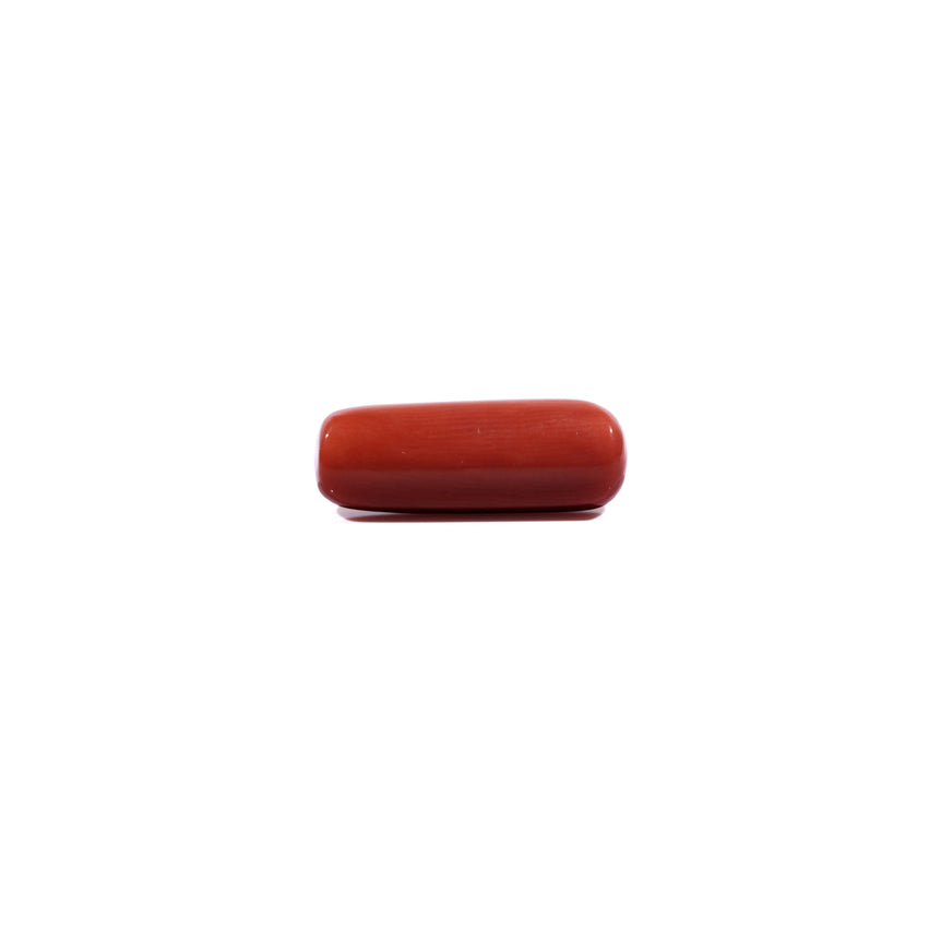 Red Coral - 7.7 Carat