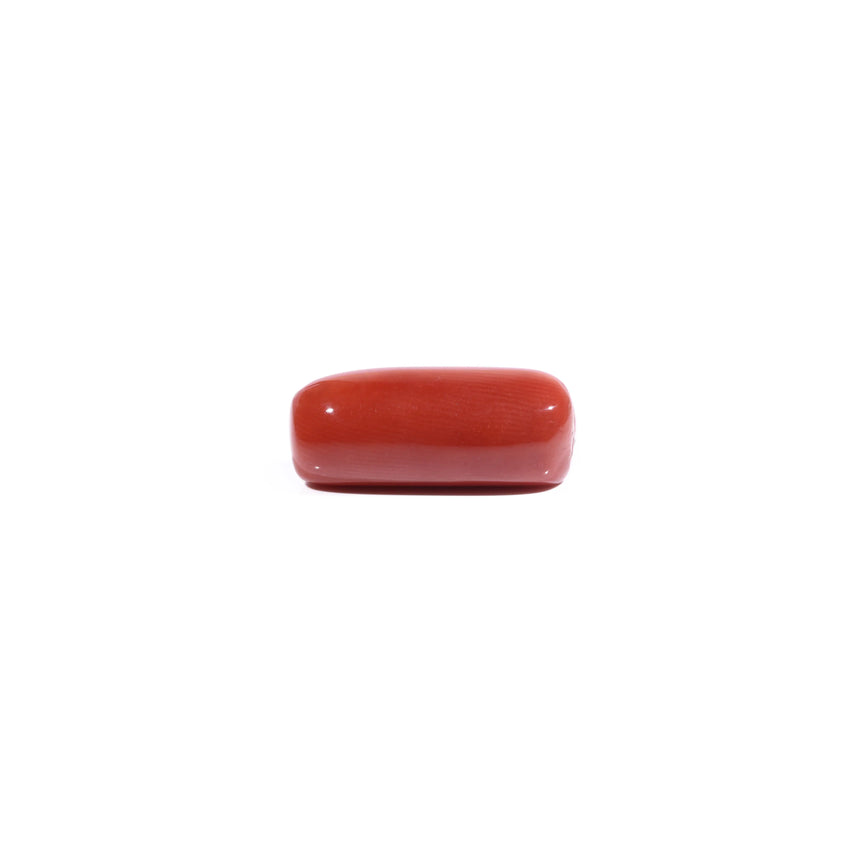 Red Coral - 8.9 Carat