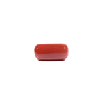 Red Coral - 7.45 Carat - Pramogh