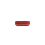 Red Coral - 8.3 Carat