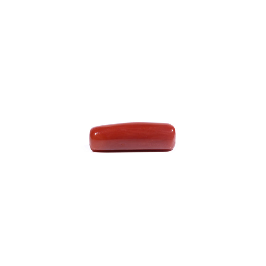 Red Coral - 7.2 Carat