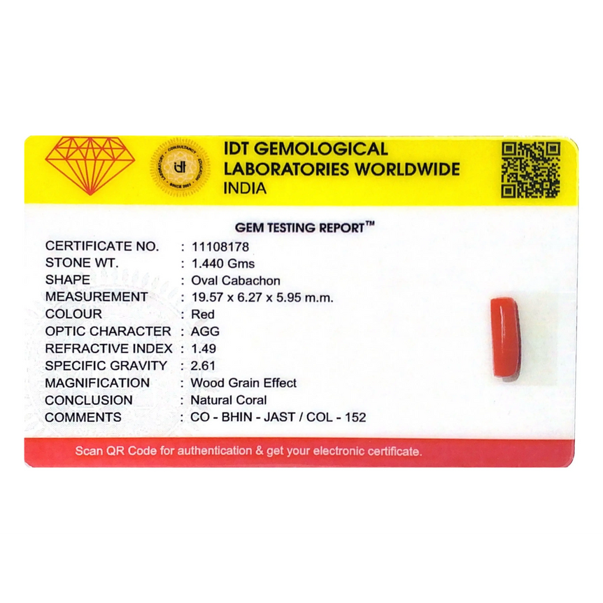 Red Coral - 7.2 Carat