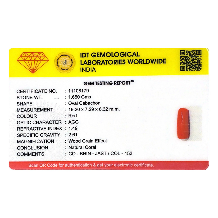Red Coral - 8.25 Carat