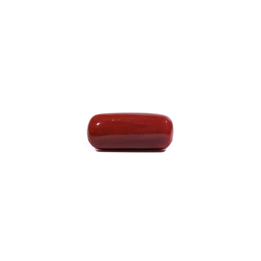 Red Coral - 8.25 Carat