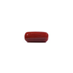 Red Coral - 8.25 Carat