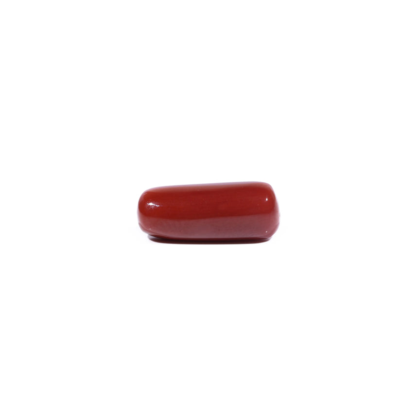 Red Coral - 8.25 Carat