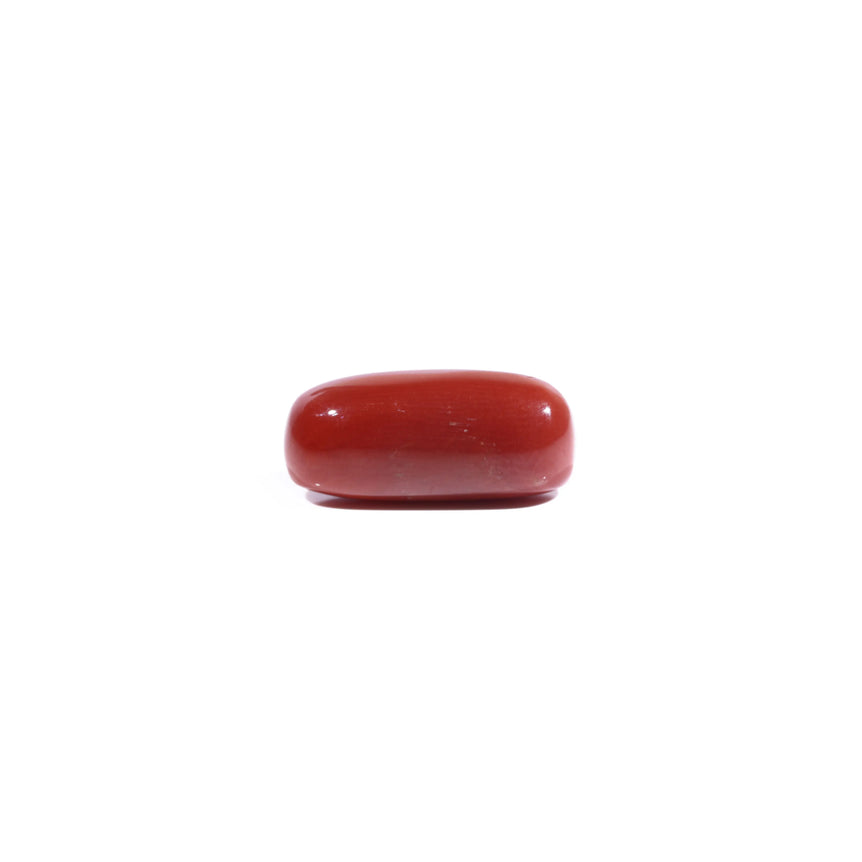 Red Coral - 8.6 Carat