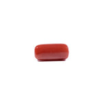 Red Coral - 7.05 Carat