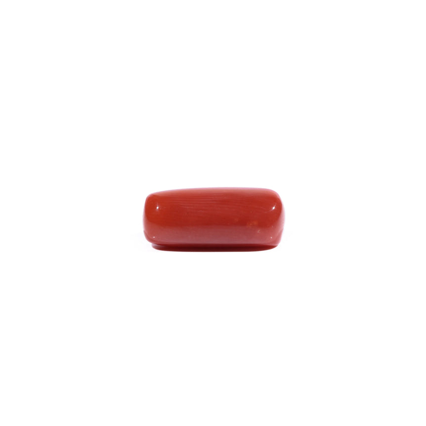 Red Coral - 7.05 Carat