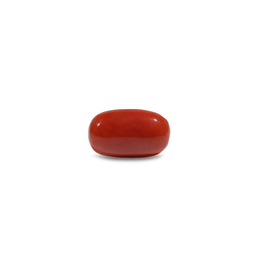 Red Coral - 7.25 Carat - Pramogh