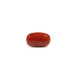 Red Coral - 7.25 Carat - Pramogh