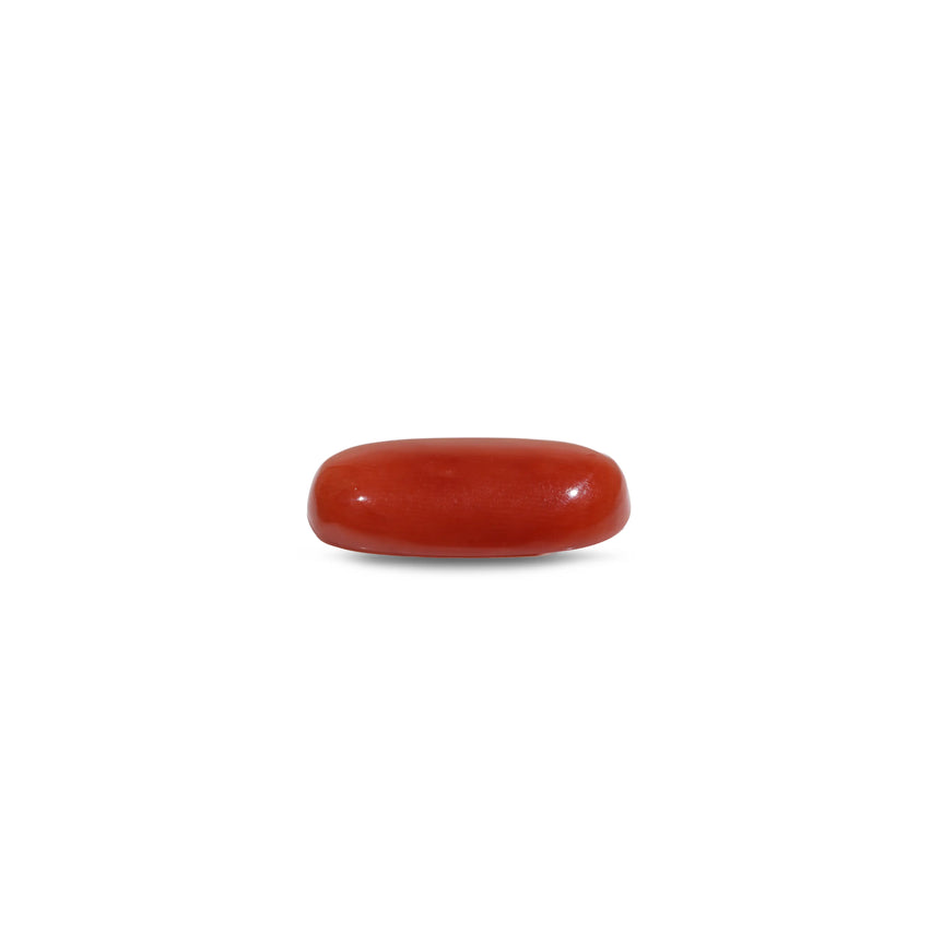 Red Coral - 7.25 Carat