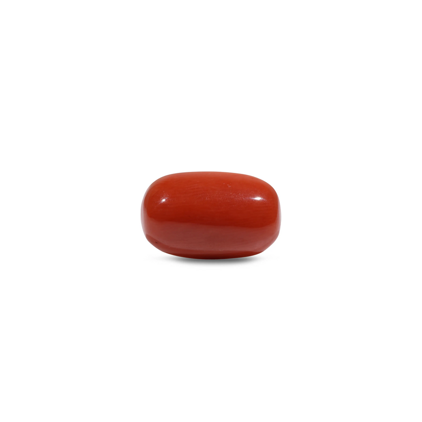 Red Coral - 8.75 Carat - Pramogh