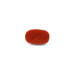 Red Coral - 8.75 Carat