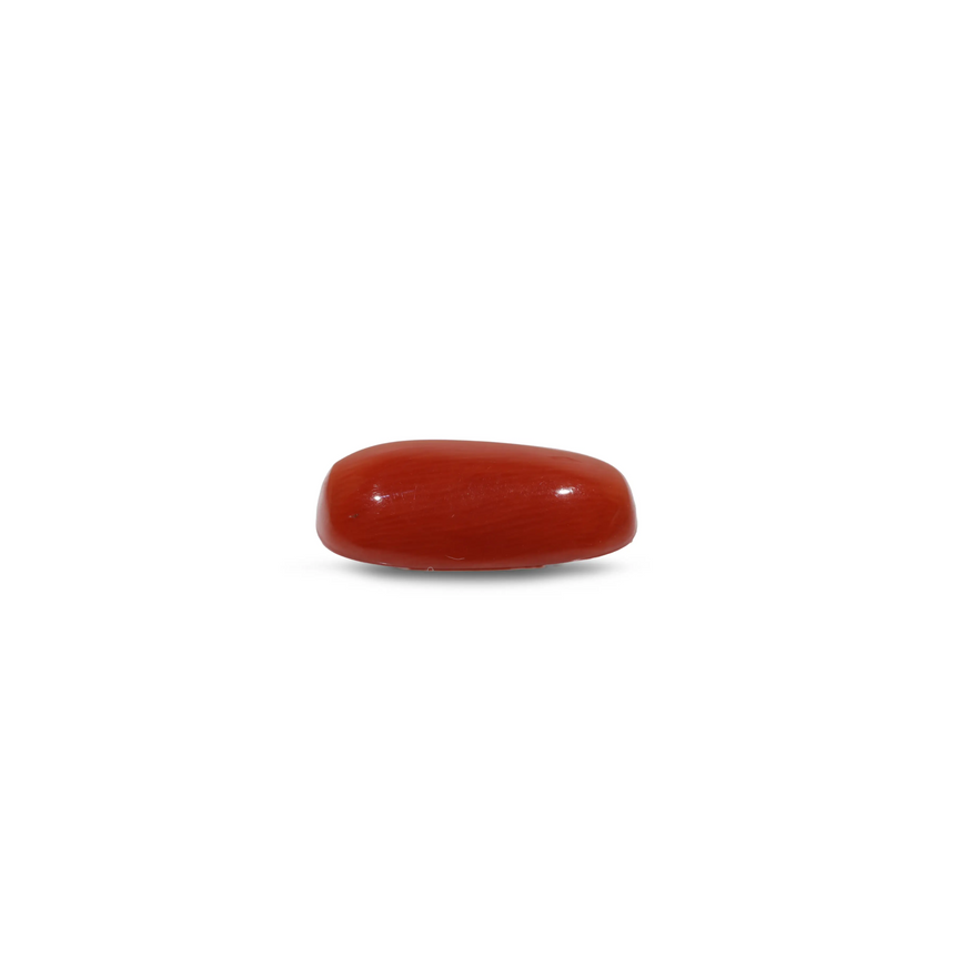Red Coral - 8.75 Carat