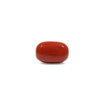 Red Coral - 7.5 Carat - Pramogh