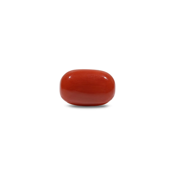 Red Coral - 7.5 Carat - Pramogh