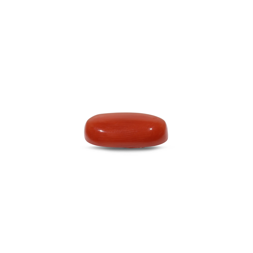 Red Coral - 7.5 Carat