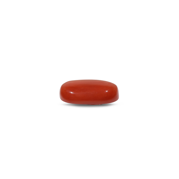 Red Coral - 7.5 Carat