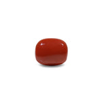 Red Coral - 13.25 Carat - Pramogh