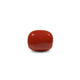 Red Coral - 13.25 Carat - Pramogh