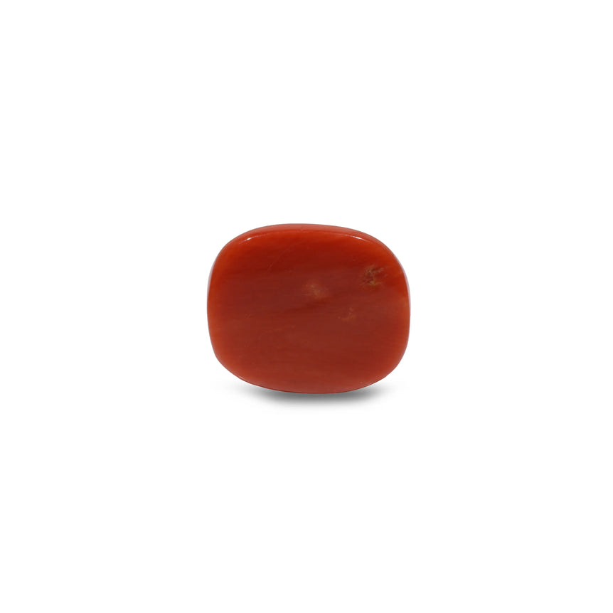 Red Coral - 13.25 Carat