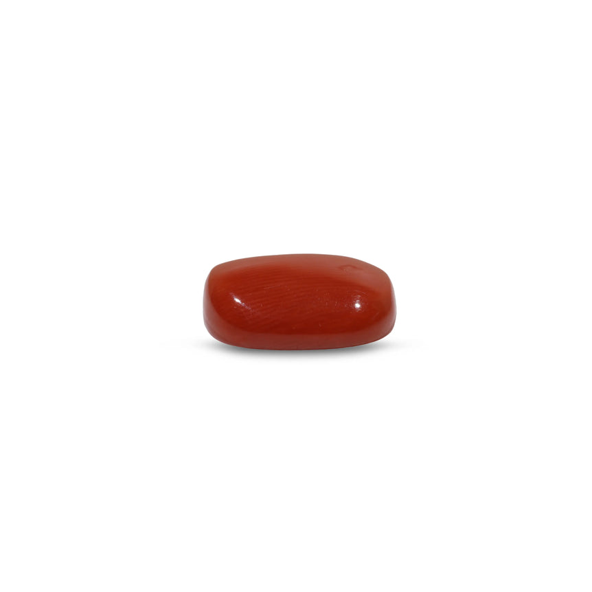 Red Coral - 13.25 Carat