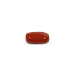 Red Coral - 13.25 Carat