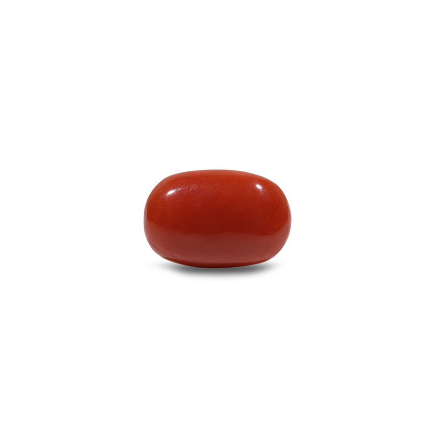 Red Coral - 10.7 Carat - Pramogh
