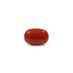 Red Coral - 10.7 Carat - Pramogh