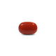 Red Coral - 10.7 Carat - Pramogh